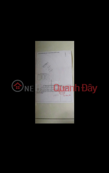 Property Search Vietnam | OneDay | Residential Sales Listings Beautiful Land - Great Price - Owner Selling Quickly in Binh My Commune, Cu Chi District, Ho Chi Minh City