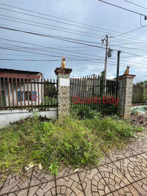 BINH PHUOC LAND - Road Front Lot for Sale at Phuoc Binh Ward, Phuoc Long Town, Binh Phuoc _0