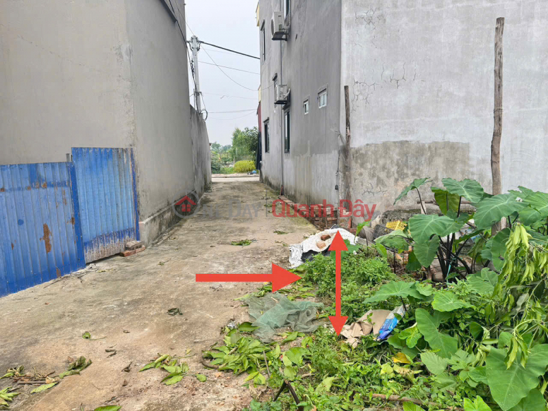 Property Search Vietnam | OneDay | Residential Sales Listings Catching the Wave of Ring Road 4 - Land with 4.5m Frontage in Kim Hoa, Me Linh - Only 2.1 Billion