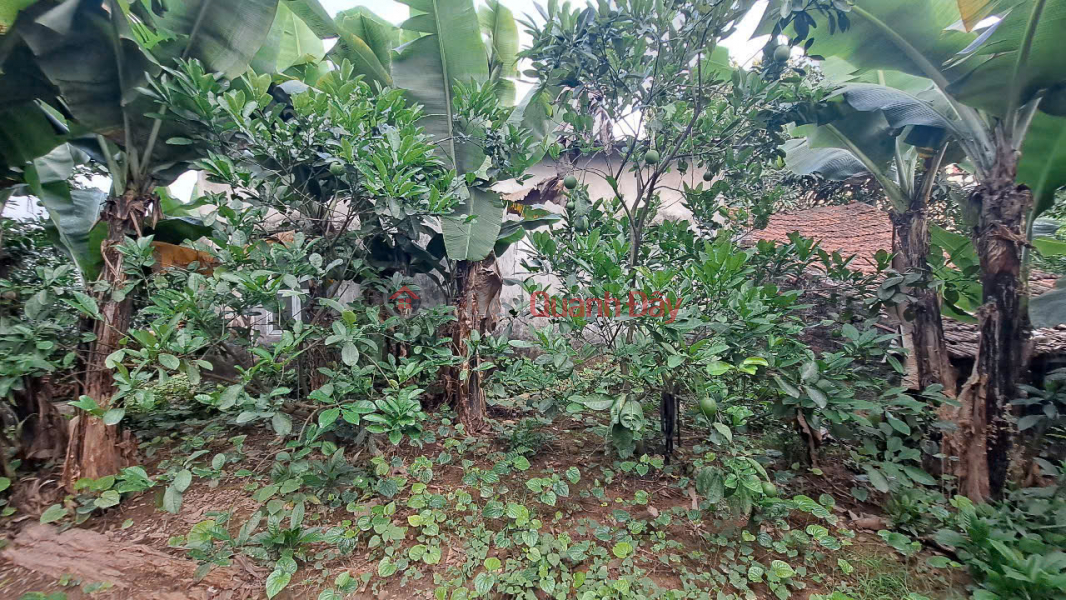 SELLING 150m2 of land in Ha Trai (Thong Nhat) Long Bien, frontage 9m, car, business, price 12.5 billion. Vietnam Sales, đ 12.5 Billion