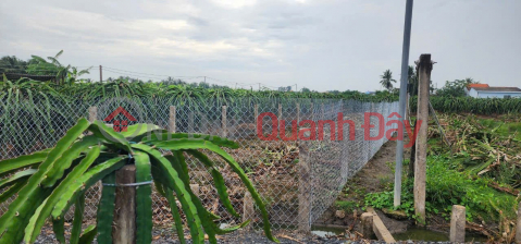 Beautiful Land for Sale - Beautiful Location in Hamlet 2 - Phuoc Tan Hung - Chau Thanh - Long An _0