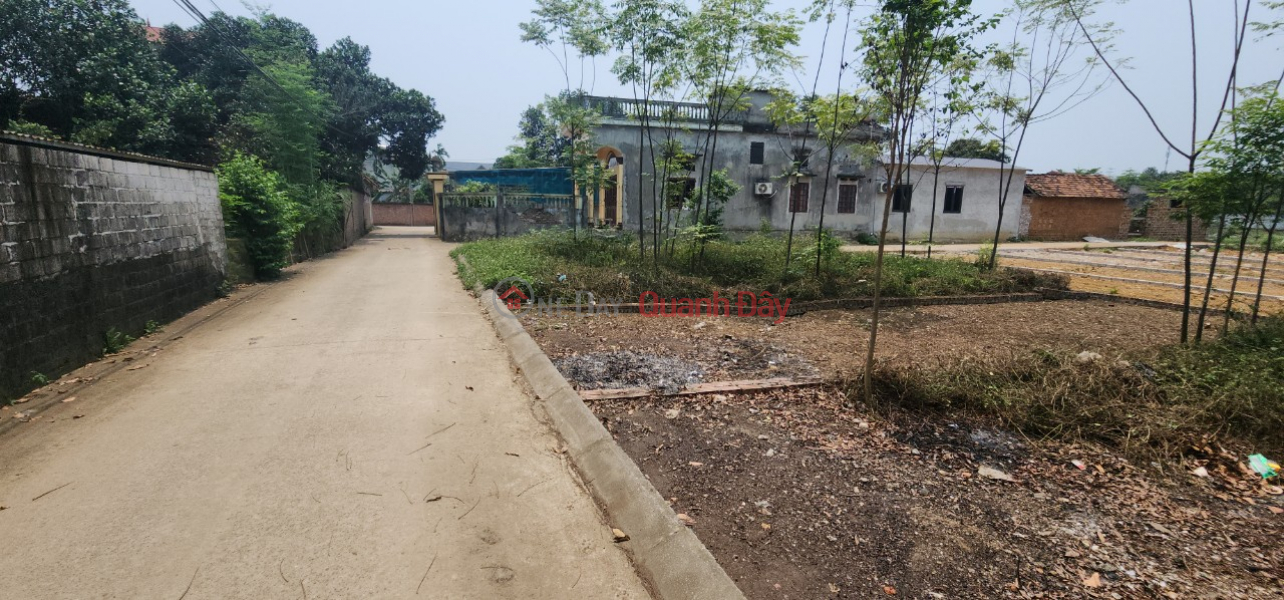 Property Search Vietnam | OneDay | Residential | Sales Listings, The family needs to sell 60m of land in Canh Chu, Binh Yen. The land surface of the alley is 3.5m wide. Price 1.4 billion