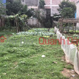 62m2 of Phuong Nghia land, corner lot, divided into 2 lots, 5m clear road, price 1.25 billion. _0