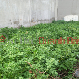 ﻿Sell land in front of Thanh Loc, Thanh Loc ward, District 12, 100m2, business area, price only 5.1 billion _0