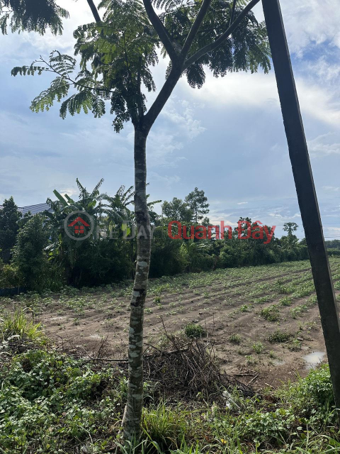 Own Land Lot Right Now - Front Facade Beautiful Location In Phu My Town, Ba Ria Vung Tau _0