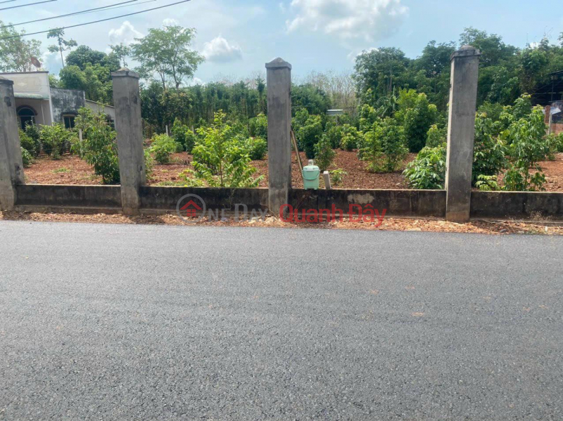 Owner - Beautiful Land Lot for Sale in Hoa Hoi Commune, Xuyen Moc District, Ba Ria - Vung Tau Province Vietnam Sales | đ 1.55 Billion