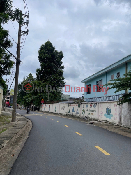 Stunning new 4-story house with elevator, fully furnished, 6 bedrooms, parking space, near Le Van Viet street. Sales Listings