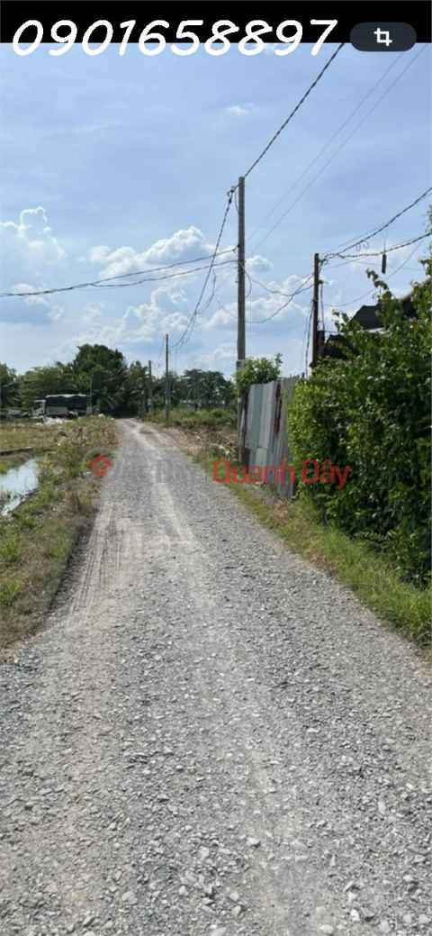 Owner needs to sell garden house in Tan Buu commune, Ben Luc, Long An, area 1,588m2 (residential land 379m2) _0