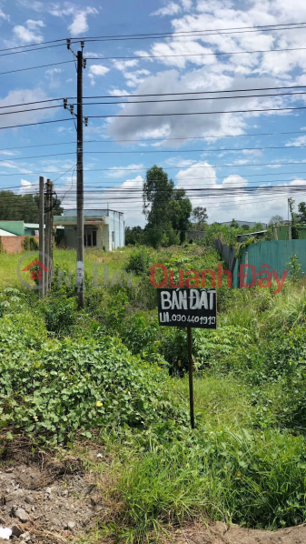 PROFITABLE INVESTMENT – OWNER NEEDS TO SELL LAND WITH FRONTAGE ON NATIONAL HIGHWAY 62 IN TAN TAY COMMUNE, THANH HOA DISTRICT, LONG AN PROVINCE, Vietnam Sales, đ 2.4 Billion
