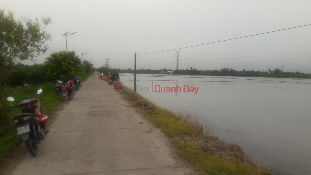 BEAUTIFUL LAND - GOOD PRICE - FOR SALE Land Plot In Binh Minh Town, Vinh Long - Cheap Price Sales Listings