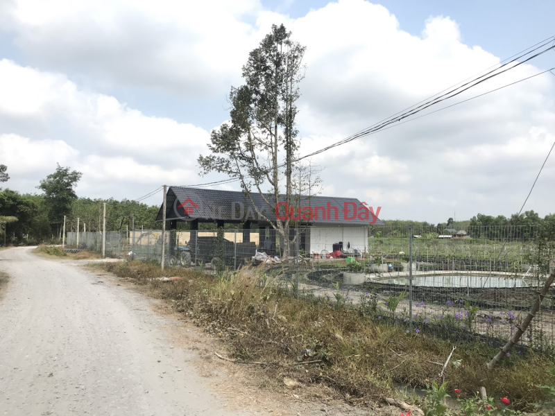 Farm for sale 1hectare 1200m2 Tho Cu Near Phuoc Dong Industrial Park, Trang Bang Tay Ninh Sales Listings