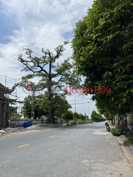 Selling land on intercommunal road Vu Phuc can do business Sales Listings