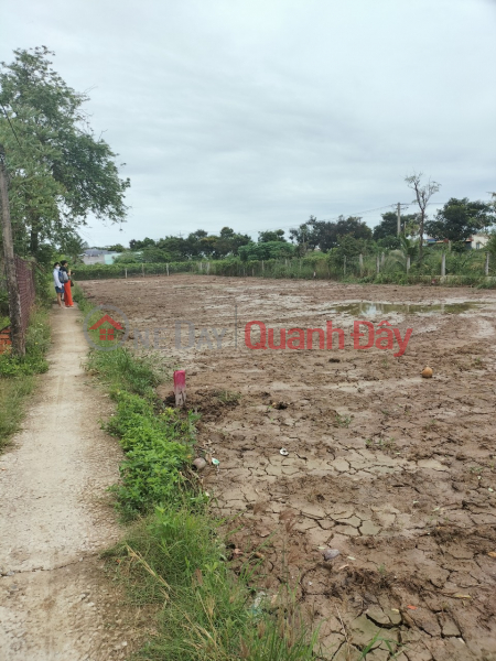 OWNER NEEDS TO SELL LAND IN TAN TRUNG COMMUNE. GO CONG TOWN, Vietnam | Sales, đ 480 Million