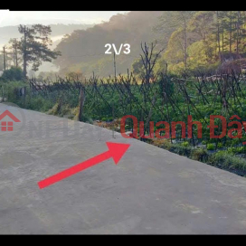 Land at the gateway to Da Lat, suitable for resort or investment Land at the gateway to Da Lat, suitable for resort or investment _0