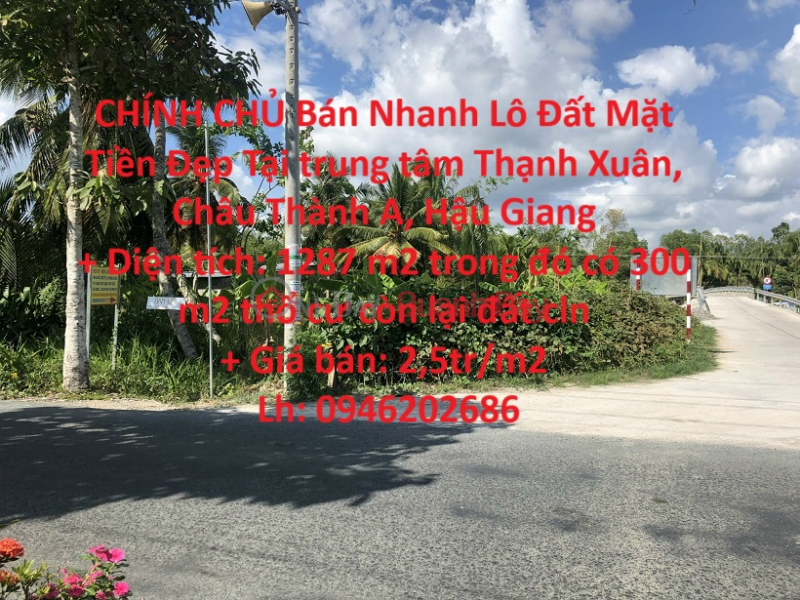 OWNER Quickly Selling Land Lot with Beautiful Frontage in the center of Thanh Xuan, Chau Thanh A, Hau Giang Sales Listings