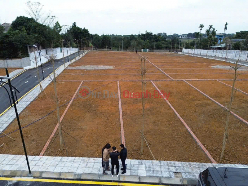 Beautiful 100m2 plot of land, fully residential, 5m frontage - Road wide enough for two cars to pass - Near Hanoi National University. Vietnam Sales | đ 3.1 Billion