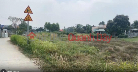 Land for sale on Rừng Sát road frontage, opposite Hiệp Quế gas station, Bình Khánh, Cần Giờ. _0
