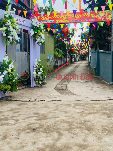 Quick sale of land by owner in cluster 1, Tho Xuan commune, Dan Phuong - Right at Dieu Hoa lake Sales Listings