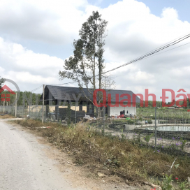 Farm for sale 1hectare 1200m2 Tho Cu Near Phuoc Dong Industrial Park, Trang Bang Tay Ninh _0