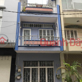 Chu Van An House, Ward 12, Binh Thanh District _0