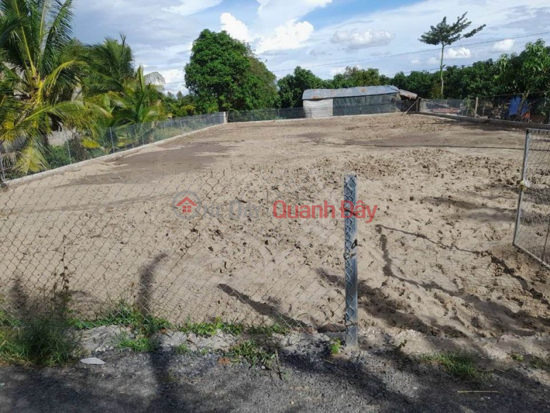 Land for sale in Binh Hang Trung Commune, Cao Lanh District Sales Listings
