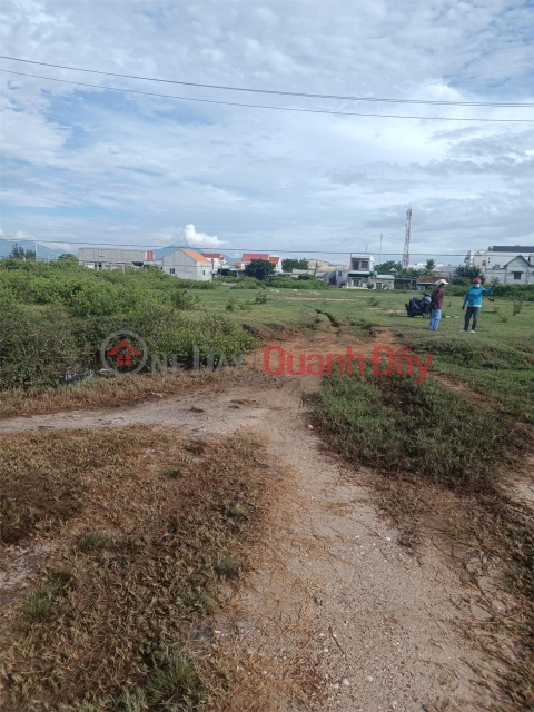 BEAUTIFUL LAND - GOOD PRICE - Quick Sale Land Lot Prime Location In Ninh Diem Commune, Ninh Hoa, Khanh Hoa _0