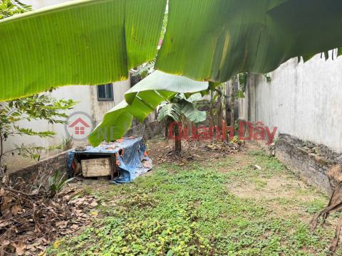 Bán gấp 74m đất thôn Chi Đông 2, xã Quang Minh, TP HN. Cách 500m tiện ích bạt ngàn _0