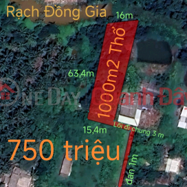 Urgent sale of Tan Tru plot of land with bank loan price of 1 billion reduced to 750 million _0