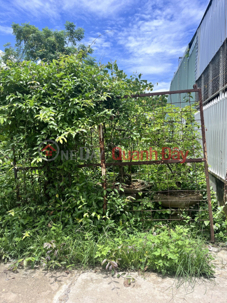 SUPER CHEAP – 5M ALLEY LOT ON DA SON 2 STREET – 120m², PRICE ONLY 2.25 BILLION Sales Listings