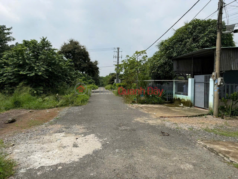 PROFITABLE INVESTMENT OPPORTUNITY - Owner Selling Land Plot in Toc Tien, Chau Pha, Ba Ria Vung Tau Sales Listings