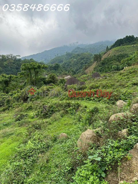 Owner needs to sell 40,000m2 of land for eco-tourism resort in Luc Binh commune, Bac Kan province, price only 3txyz _0