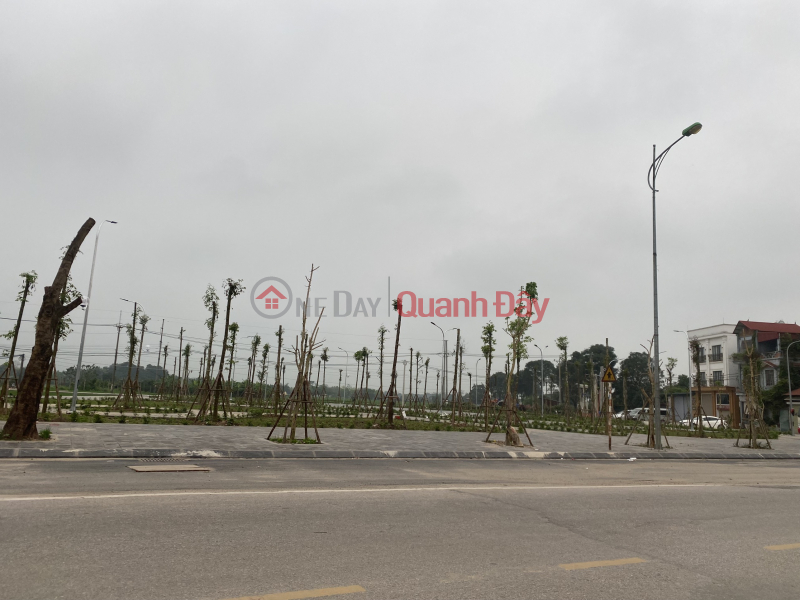 Lien Ha Dong Anh business land for sale - 15m asphalt road - green park view Vietnam, Sales | đ 7.11 Billion