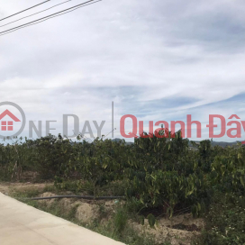 Land for sale 1.3 ha Ninh Gia, Duc Trong, Lam Dong, price 14.8 billion, 6m concrete road _0