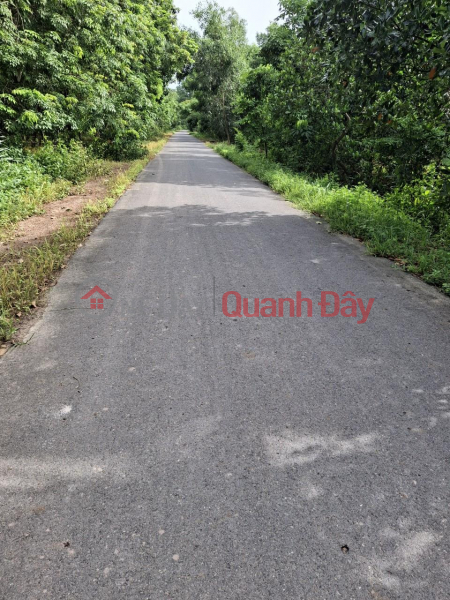 Property Search Vietnam | OneDay | Residential Sales Listings | Beautiful Land - Good Price - Owner Needs to Sell Land Plot Quickly in Binh Minh, Tay Ninh Town