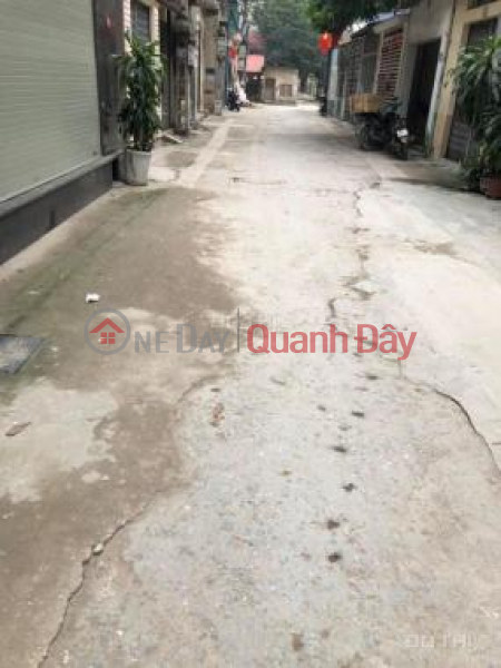 Land for sale 58m2 Tuu Liet, Thanh Tri, red book, quick transfer of ownership. Sales Listings