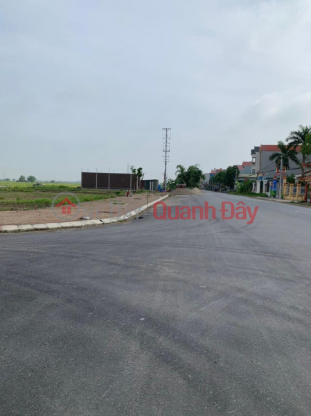 Land for sale at the cheapest auction in the area in Hoa Phong commune, My Hao, Hung Yen Sales Listings