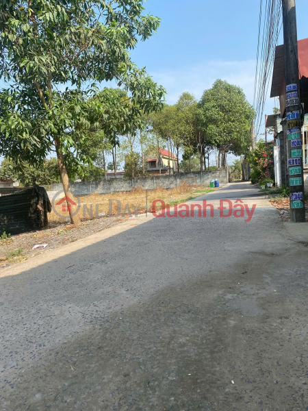 Property Search Vietnam | OneDay | Nhà ở Niêm yết bán bán 195m2 Đất thổ cư Quốc Lộ 51, xã An Phước, Long Thành, Đồng Nai hơn tỷ.