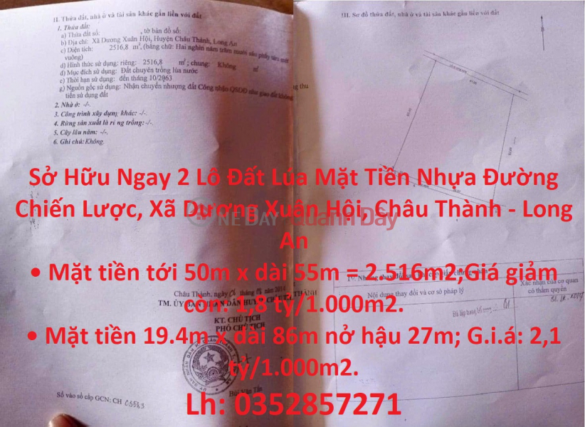 Own 2 Lots Of Rice Land With Strategic Asphalt Front Facade, Duong Xuan Hoi Commune, Chau Thanh - Long An Sales Listings