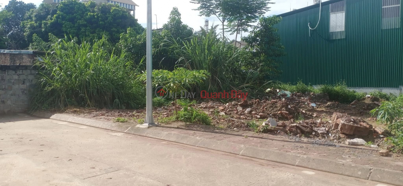 Property Search Vietnam | OneDay | Residential | Sales Listings, DAI YEN AUCTION land 90M2, MT 5.9m, Tk4, rear hatch 6m, investment price less than 2 billion, car.