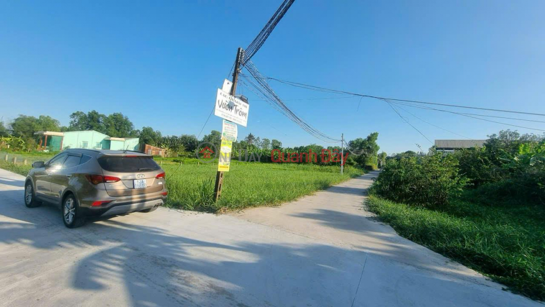 GOOD PRICE - OWNER Needs to Sell Residential Land in Beautiful Location in Binh Tam Commune, Tan An, Long An Vietnam | Sales đ 1.25 Billion