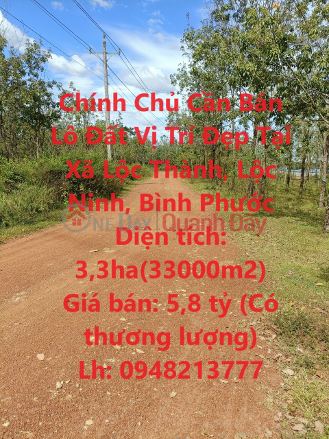 Owner Needs to Sell Land Lot with Beautiful Location in Loc Thanh Commune, Loc Ninh, Binh Phuoc _0