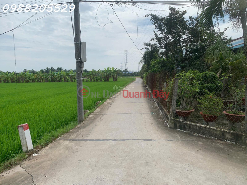 Property Search Vietnam | OneDay | Residential Sales Listings Beautiful land for sale by owner (fully residential land) - Ben Luc - area 9x25=224.6m2 - 5m concrete frontage.