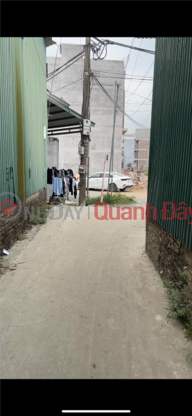 OWNER URGENTLY NEEDS TO SELL a potential land plot - good price in Hoai Duc district, Hanoi Sales Listings