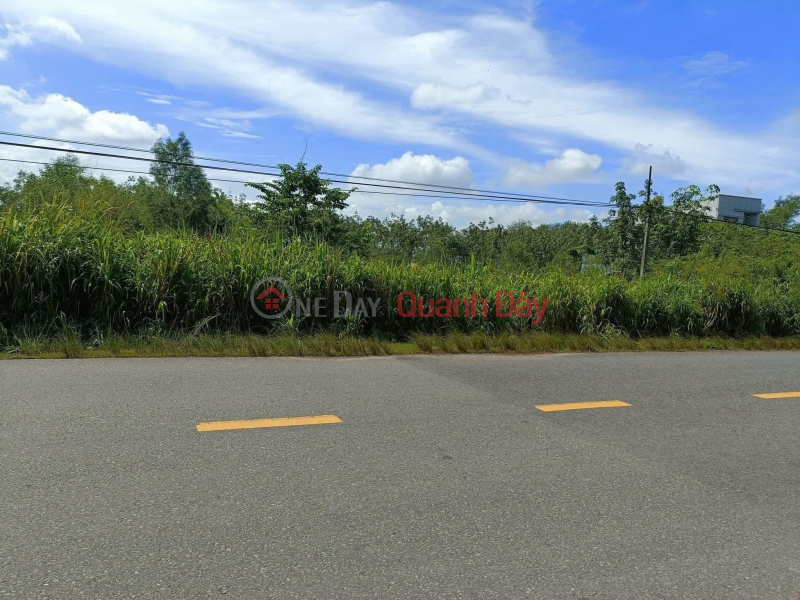 Super Street Front Land Plot - Investment is profitable - Tan Dinh Commune, Bac Tan Uyen, Binh Duong | Vietnam | Sales, đ 142.5 Billion