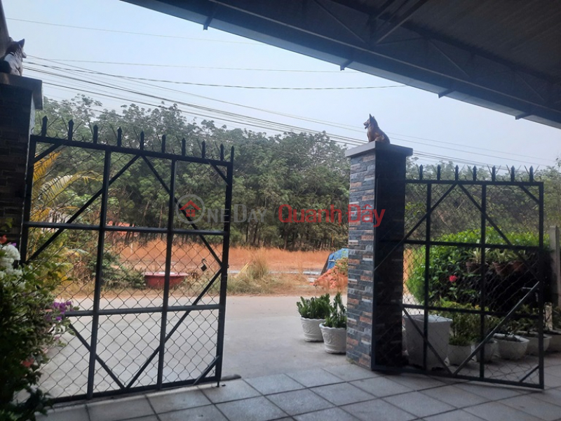 Owner Needs To Sell Street Front Land Plot With House C4 Gift In Thanh Dong Commune, Tan Chau, Tay Ninh, Vietnam Sales đ 1.6 Billion