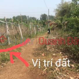 URGENT Land For Sale By Owner - Preferential Price - Beautiful Location In Song Thao Commune, Trang Bom District - Dong Nai _0