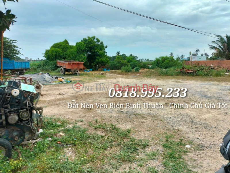 Binh Thuan Beach Land 29m Road Near Highway - Industrial Park - Seaport - Airport Price Only 7xxTRIEU Sales Listings