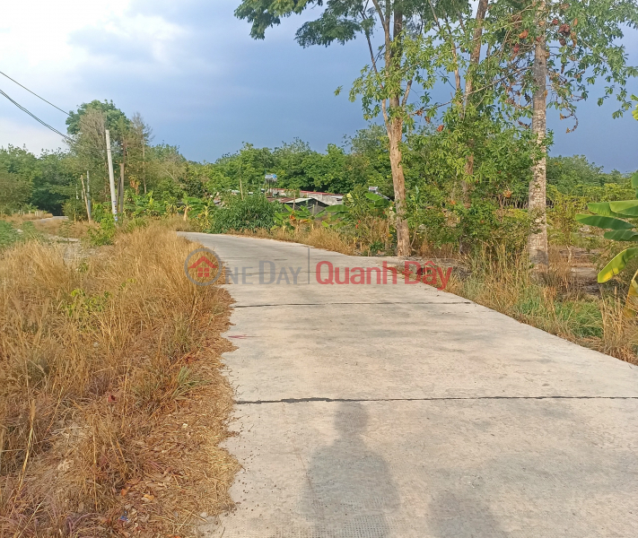 6m frontage of DH01 branch, Chon Thanh town, only 350 million, Vietnam Sales | đ 350 Million