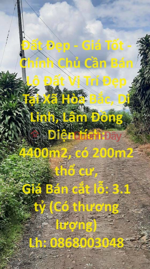 Đất Đẹp - Giá Tốt - Chính Chủ Cần Bán Lô Đất Vị Trí Đẹp Tại Xã Hòa Bắc, Di Linh, Lâm Đồng _0