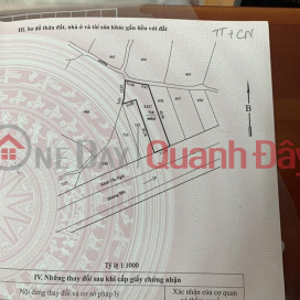 Plot for sale in front of Muong Ngoi ditch in Phan Rang city, Thap Cham city _0